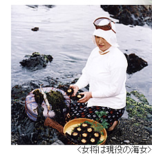 女将は現役の海女